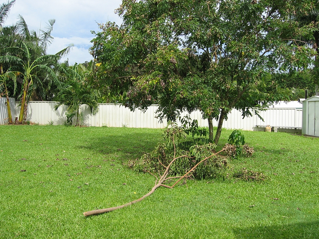 Cairns27 Cyclone Larry.jpg